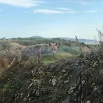 Cosy Nest On The West Cork Coast