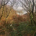 Apartmán Cosy Nest On The West Cork Coast