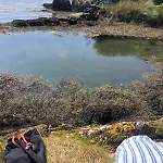 Cosy Nest On The West Cork Coast Apartmán