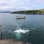 Cosy Nest On The West Cork Coast Apartmán