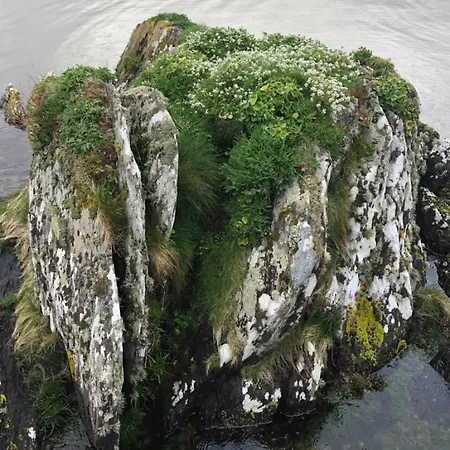 Daire Cosy Nest On The West Cork Coast
