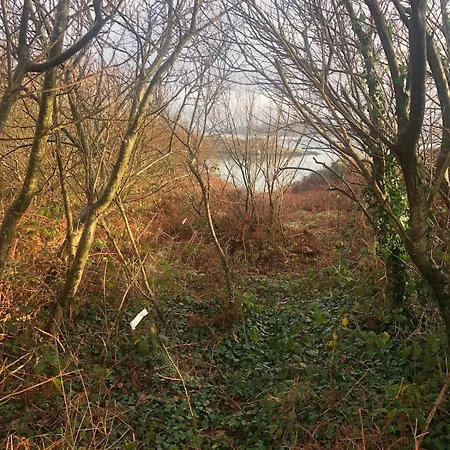 Apartmán Cosy Nest On The West Cork Coast