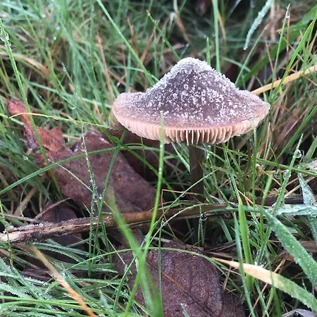 Cosy Nest On The West Cork Coast דירה סקיברין