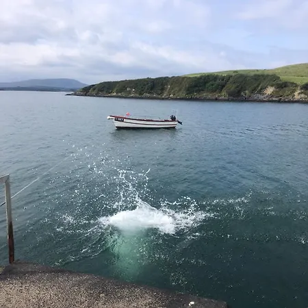 Cosy Nest On The West Cork Coast Daire