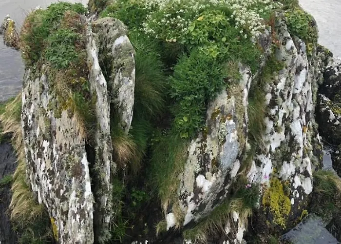 דירה Cosy Nest On The West Cork Coast