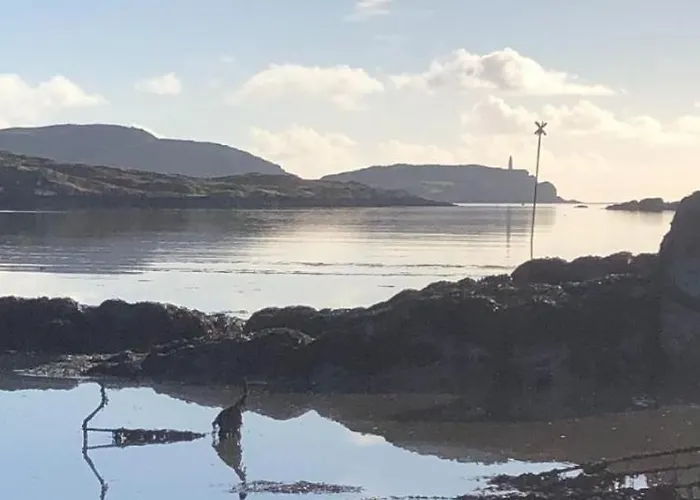 Cosy Nest On The West Cork Coast דירה *