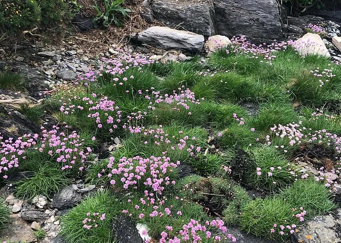 דירה Cosy Nest On The West Cork Coast *