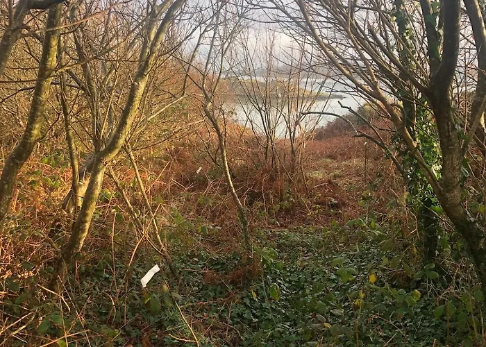 דירה Cosy Nest On The West Cork Coast