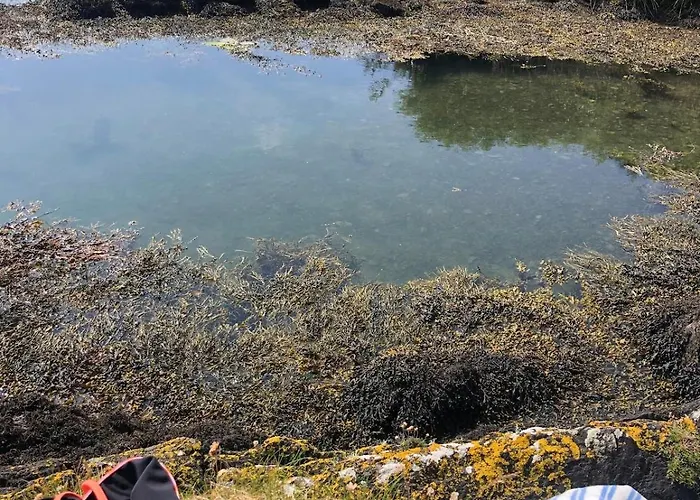 Cosy Nest On The West Cork Coast דירה