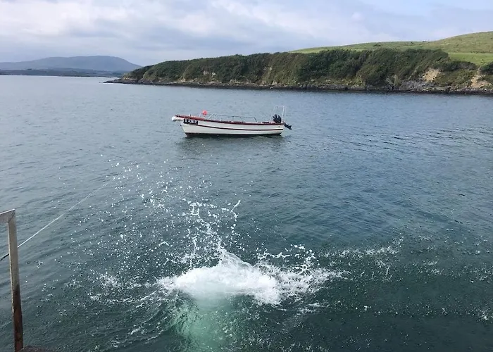 Cosy Nest On The West Cork Coast דירה